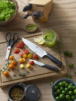 Zwilling Набор из 4 четырех звездных ножей в блоке + ножницы