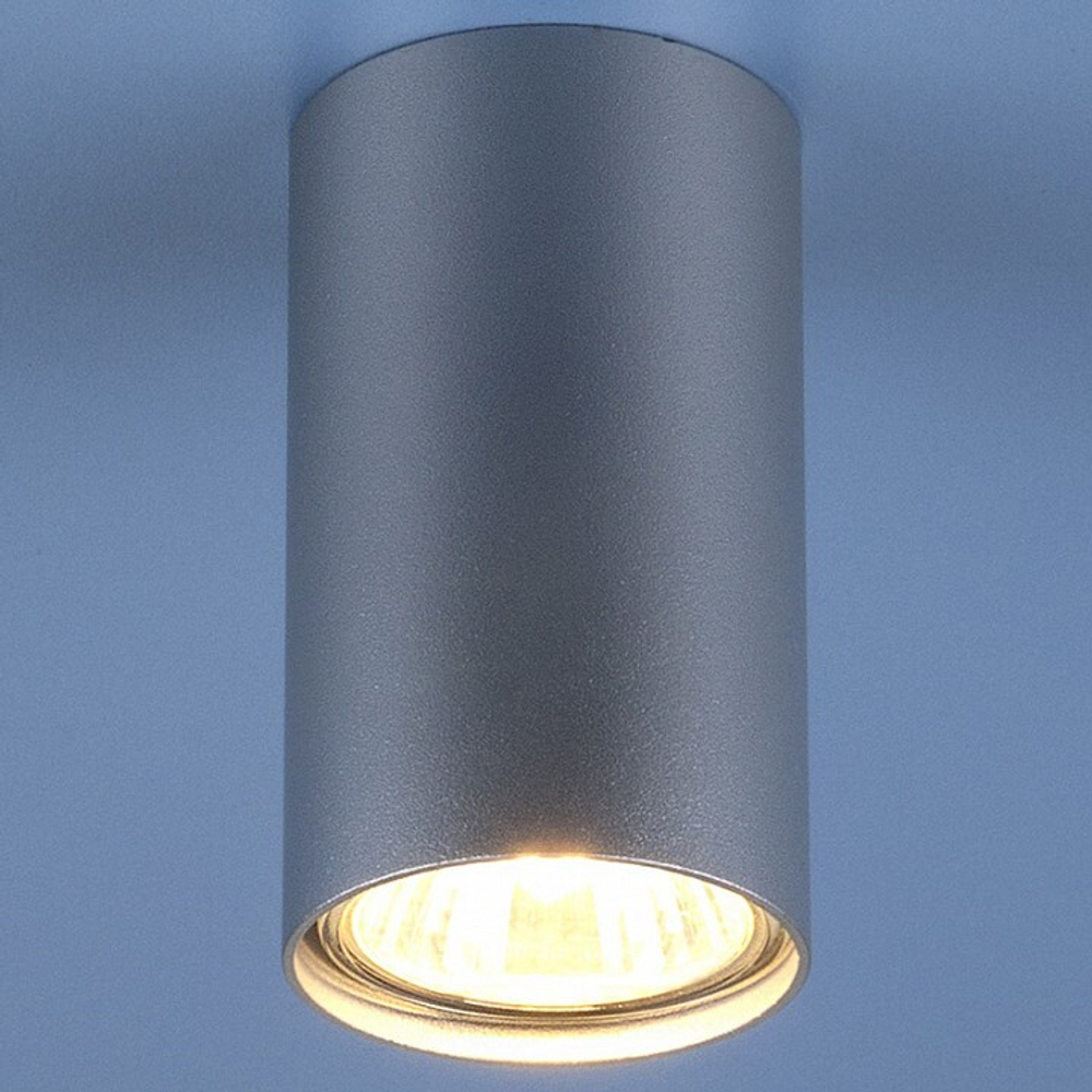 Накладной светильник Elektrostandard 1081 (5257) GU10 SL серебряный