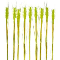 USL-S-817-PT800 CORN SET10 Садовый светильник на солнечной батарее Колосья. в комплекте из 10 штук. 120 светодиодов. Теплый белый свет. 1xАА Ni-Mh аккумулятор в-к. IP44. TM Uniel