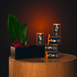 LUX GYAN Аюрведический комплекс ЛЮКС ГЯН Очищение кишечника 60шт