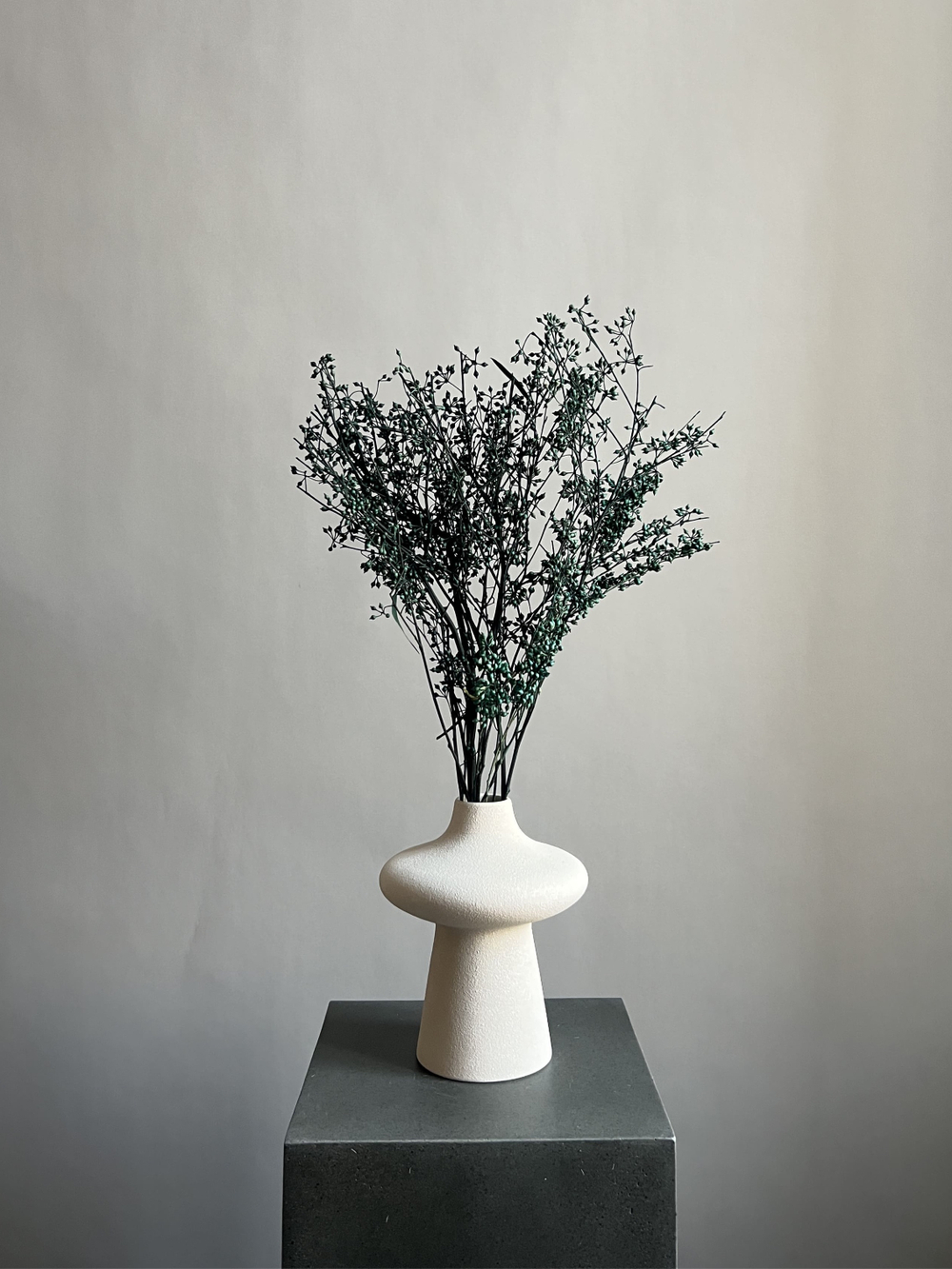 Плоды эвкалипта темно-зеленые