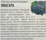 Лобелия Ниагара ампельная 0,01 г Уд. с. СМЦ-33