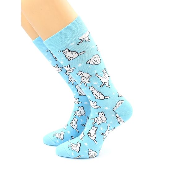 Носки с принтом "Котики" голубые Hobby Line