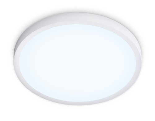 FZ1951 WH белый IP54 20W 5000K D270*15 (Без ПДУ)