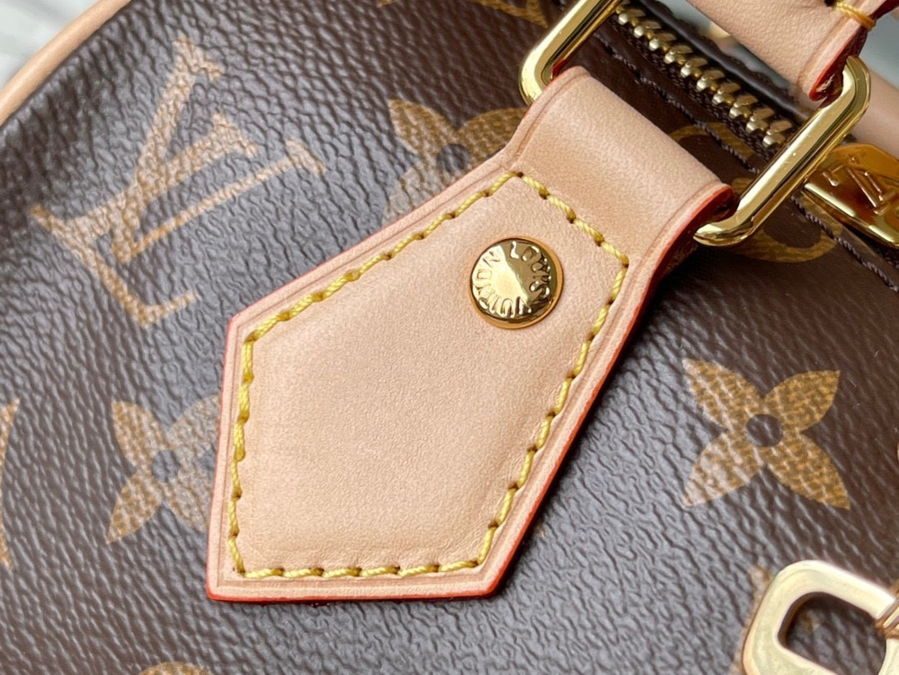 Louis Vuitton Speedy 20