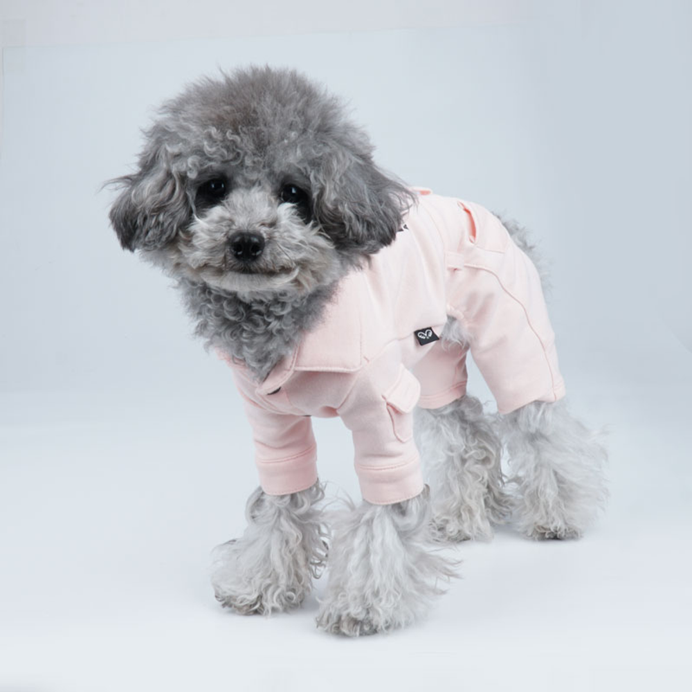 473 Спортивный костюм "Puppy Angel"