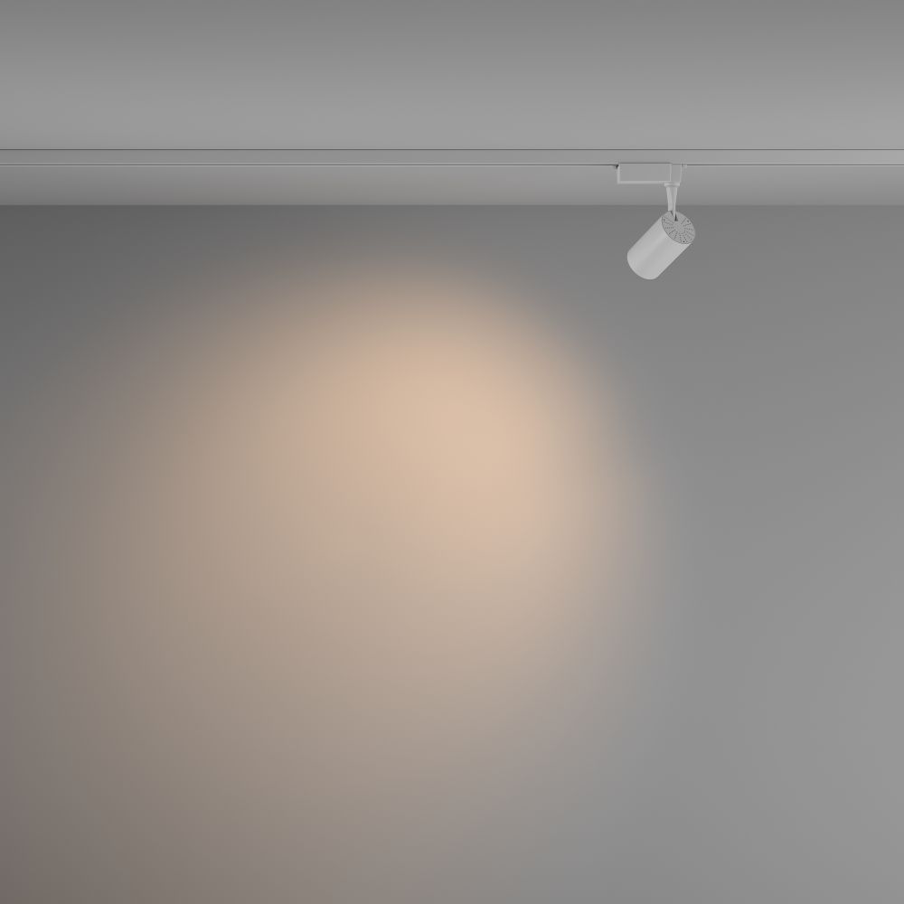 Трековый однофазный светодиодный светильник Maytoni Unity Vuoro TR003-1-6W3K-W-W