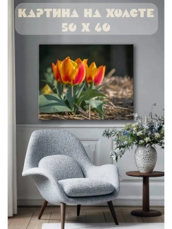 Картина на стену 40 X 50 Тюльпаны