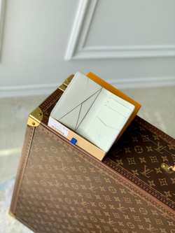 Louis Vuitton Pocket Organizer