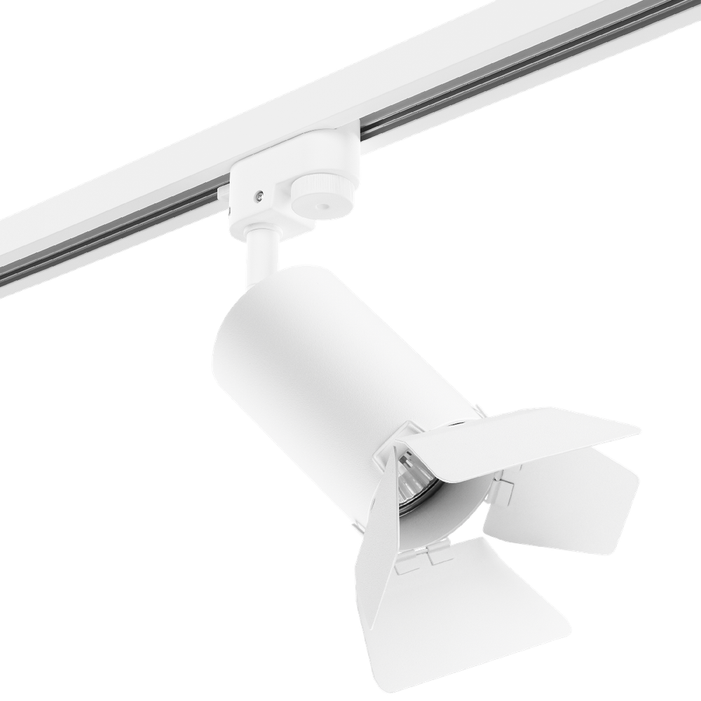 Светильник на штанге Lightstar Rullo R1T436436