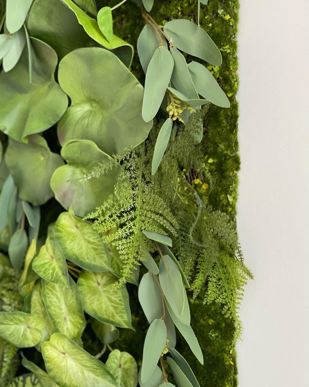 Панно из искусственного мха и растений для частного интерьера.