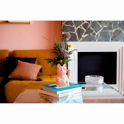 Ваза для цветов 20см Doiy Neko абрикос