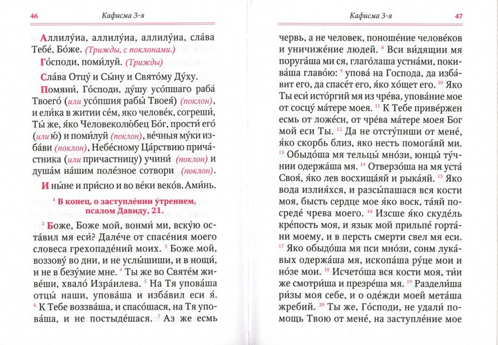 Псалтирь для мирян. Чтение Псалтири с поминовением живых и усопших с магнитным клапаном (золотой обрез, кожа)