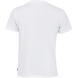 Теннисная футболка Roland Garros Graphic - white