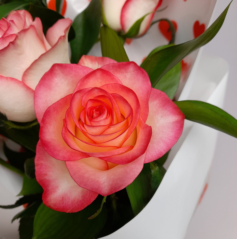 Букет для девушки нежный из 5 розоватых роз и рускуса, 50 см