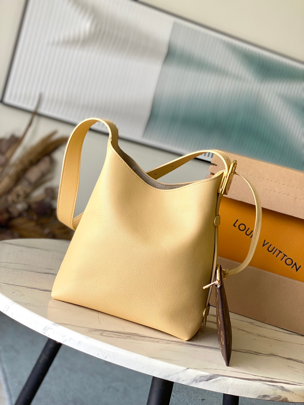 Louis Vuitton Low Key Hobo PM