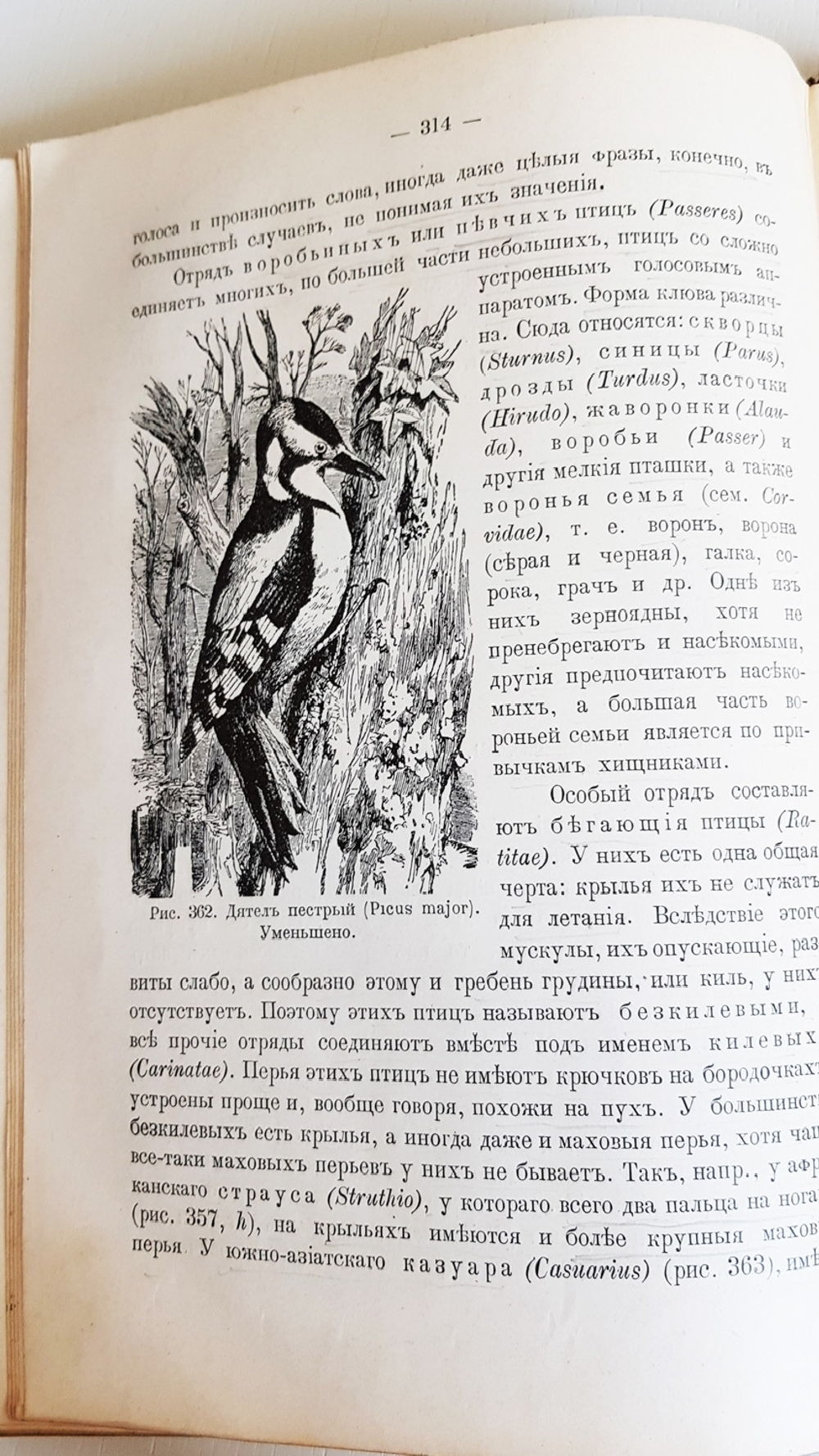 "Руководство зоологии. Для мужских средне-учебных заведений". Л. и В.Шимкевич. 1910 г.