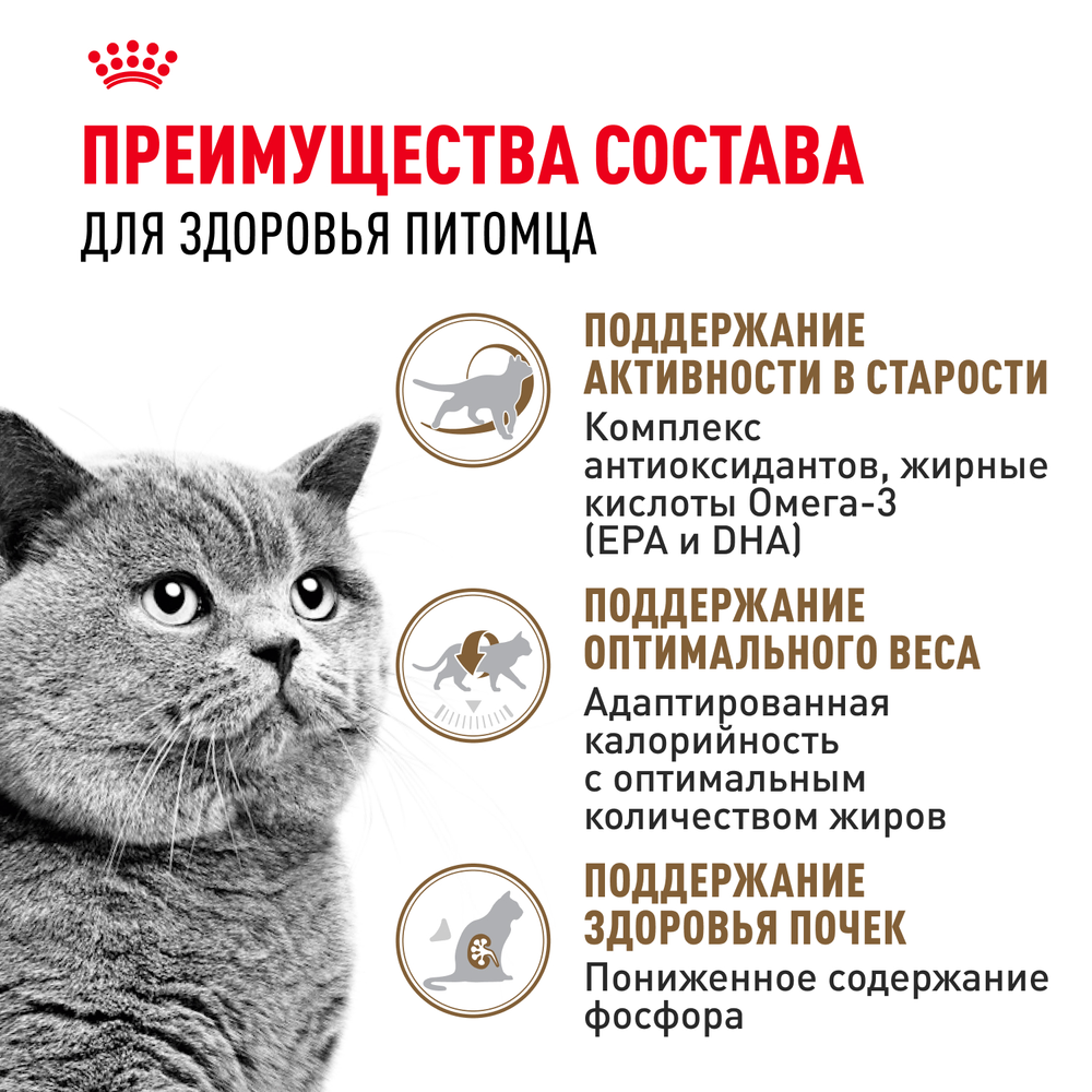 Royal Canin Ageing Sterilised 12+ Корм сухой полнорационный сбалансированный для стерилизованных стареющих кошек в возрасте старше 12 лет 4кг