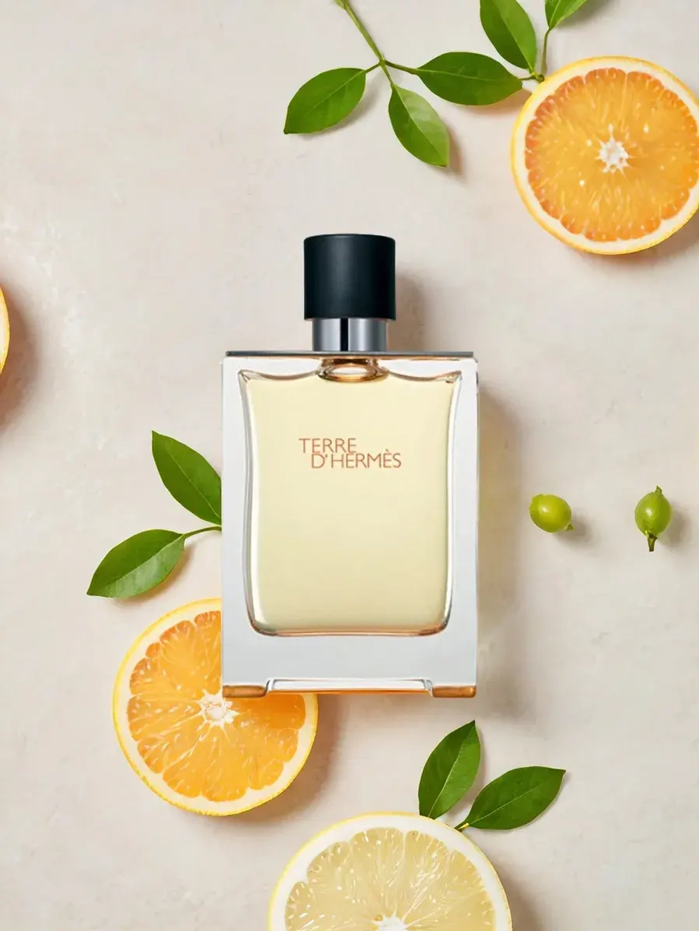 Hermès Terre d'Hermès 100 мл
