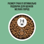 Сухой корм для щенков мелких пород BOWL WOW с индейкой, рисом и шпинатом, 2 кг