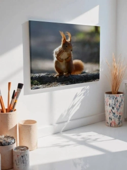 Картина на стену 40 X 50 Белка