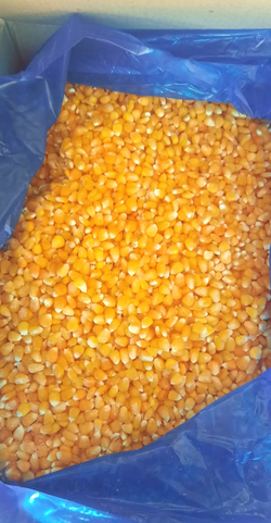 Кукуруза зерно замороженное / Коробка 10кг