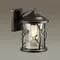 4963/1W NATURE ODL22 735 черный/стекло Ландшафтный настен.светильник E27 1*60W IP44 CUITA