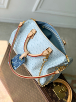 Louis Vuitton Speedy Soft 30