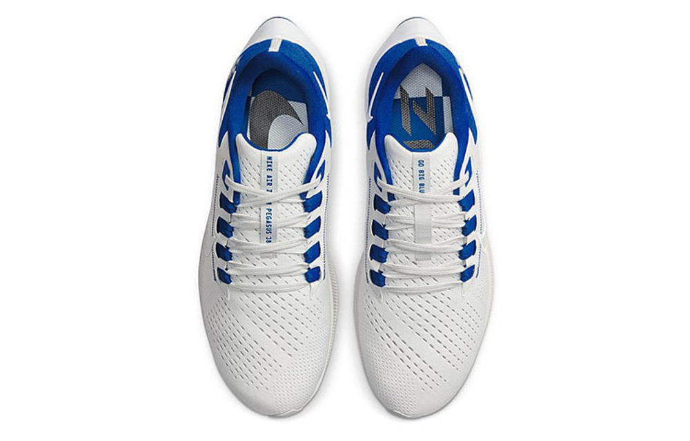 Кроссовки Nike Toto College Air Zoom Pegasus 38 "Kentucky"