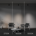 Трековые светильники трёхфазные Focus Led Trinity 2700-5000K 12Вт