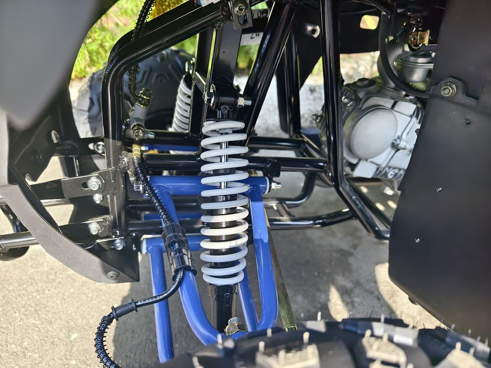Lion 125 RR синий хаки