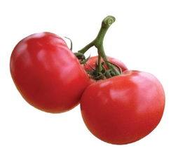 Афен F1 семена томата индетерминантного (Clause / Клос)