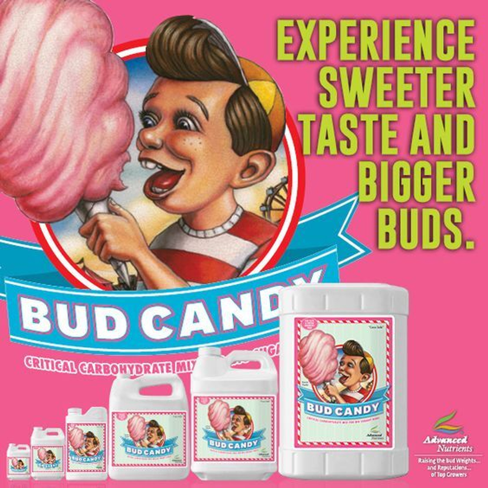 Bud Candy