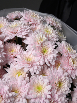 Моно букет из 11 цветных хризантем