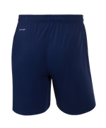 Шорты тренировочные JÖGEL NATIONAL PerFormDRY Training Shorts, темно-синий