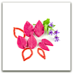 Листья колокольчика