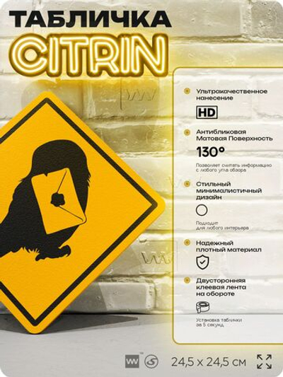 Табличка "Осторожно, совы с письмами" шуточная прикольная табличка на дверь и стену, для офиса и дома, декоративный знак, 24,5х24,5 см, пластиковая, Айдентика Технолоджи