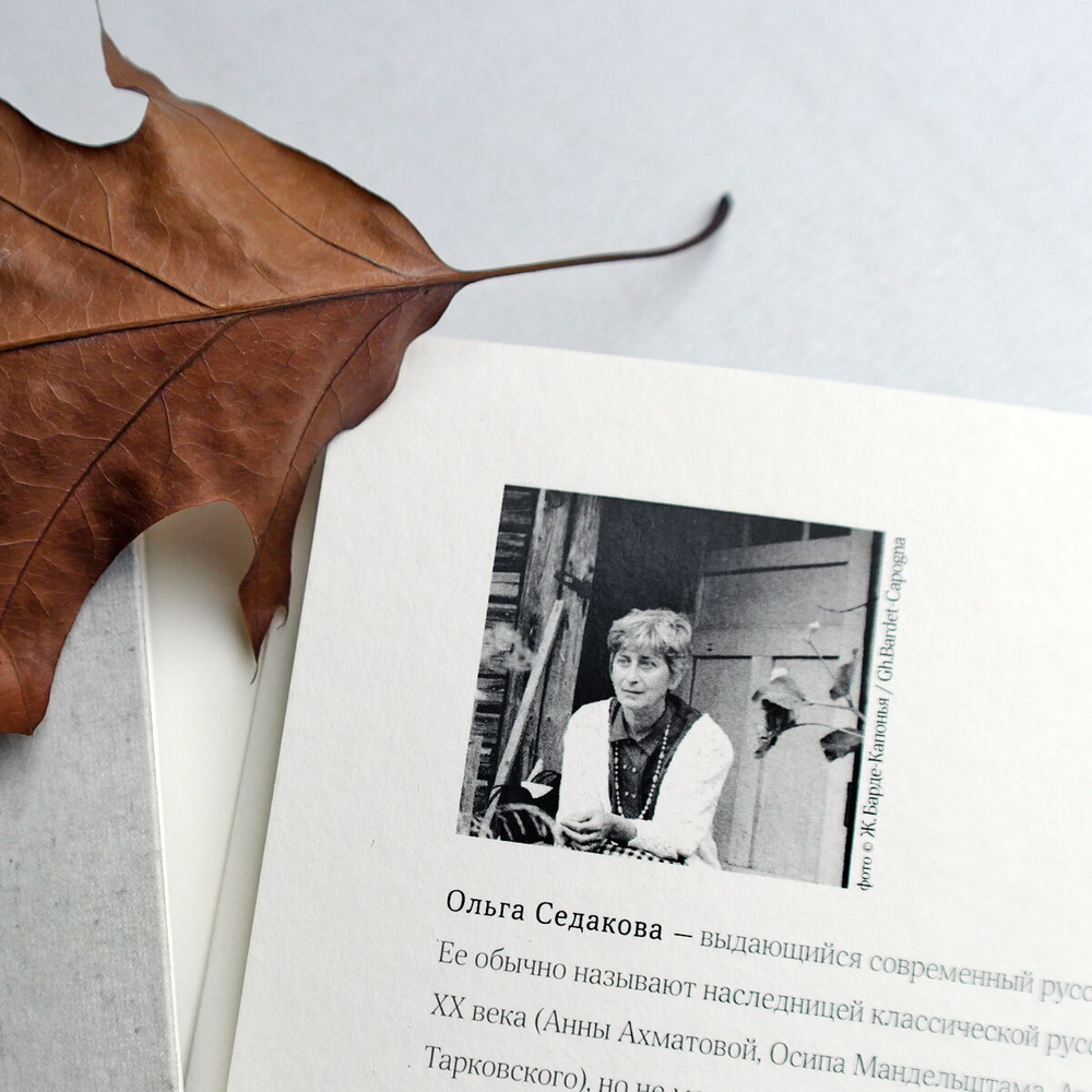 Сад мирозданья