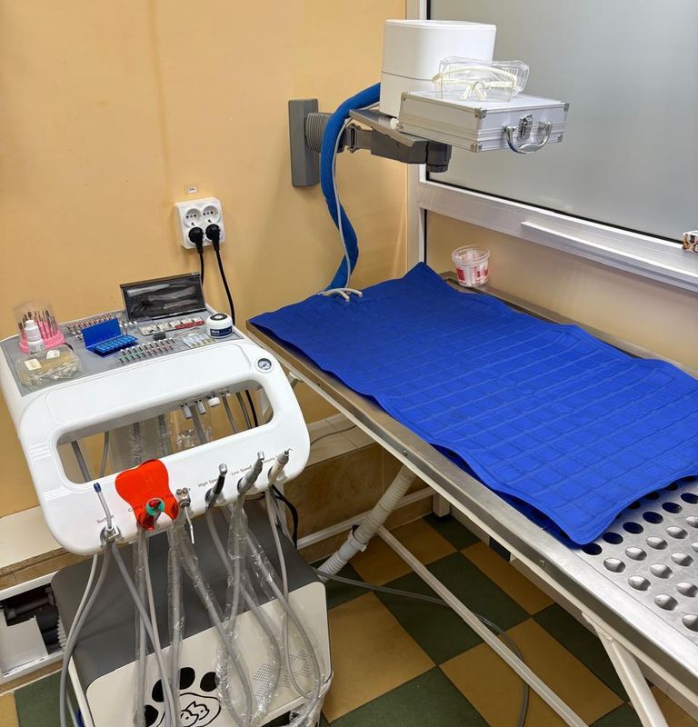 Ультразвуковая чистка зубов