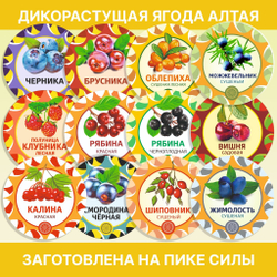 Зверобой пучок.