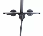 Душевая система Bronze de Luxe Icon 80112CB черный матовый