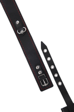 Кожаный двухслойный ошейник с красной строчкой и поводком