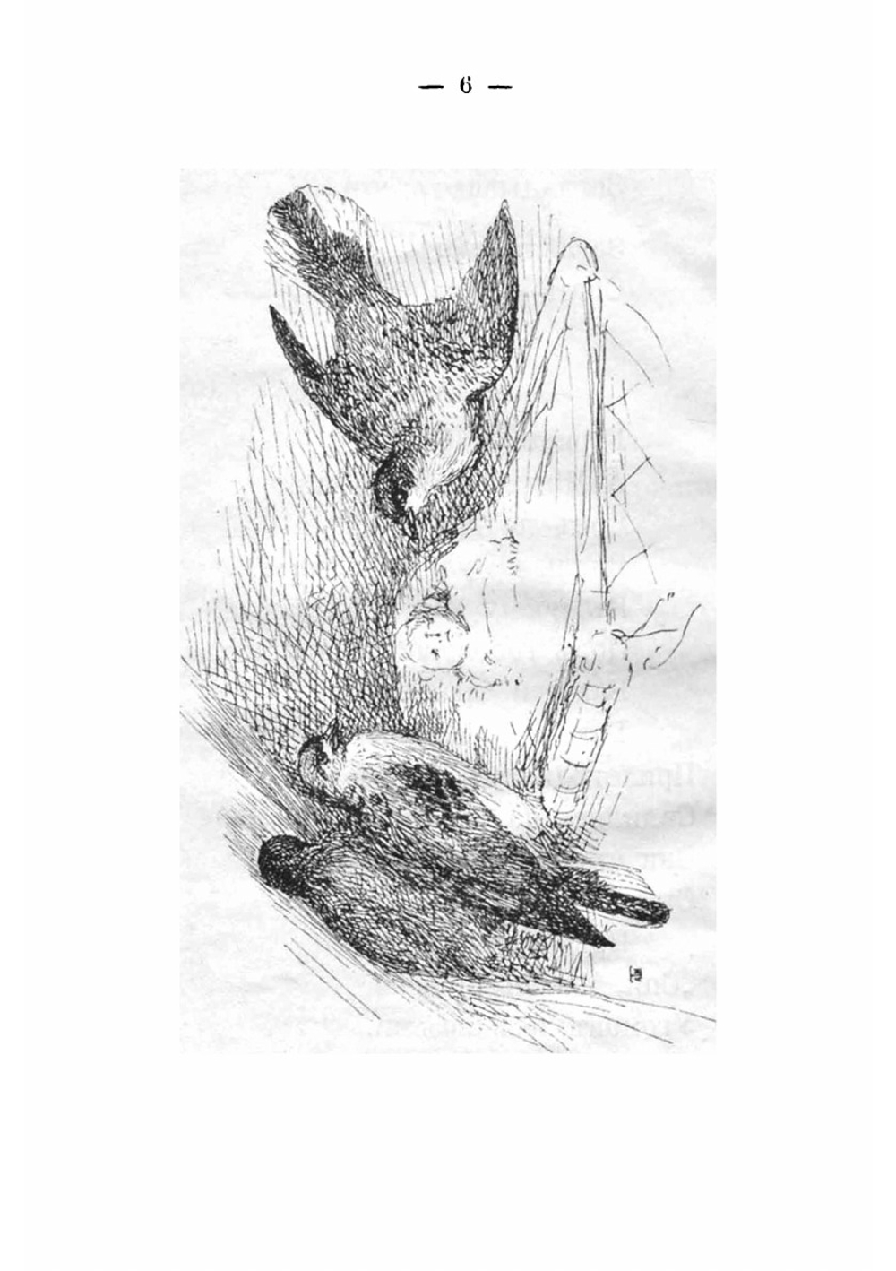 Сборник народных детских песен, игр и загадок | Шейн Павел Васильевич