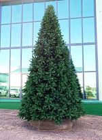 большая ель искусственная "Клеопатра" ствольная, хвоя литая