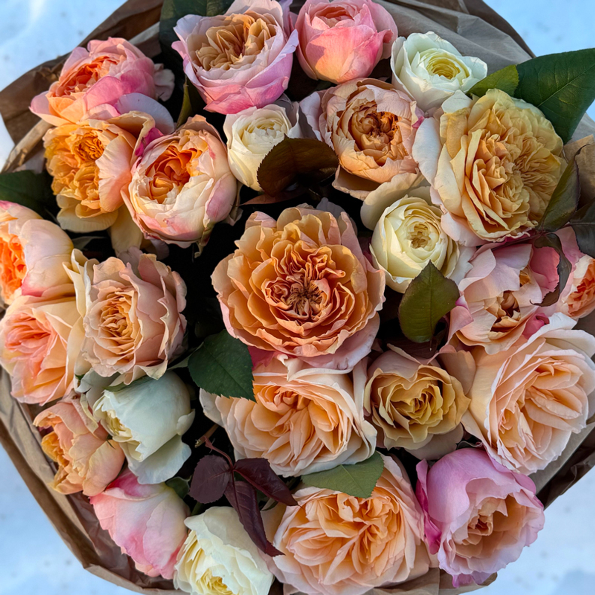 🌸 Персиковый микс — букет интерьерных садовых роз — 8 марта у Феи