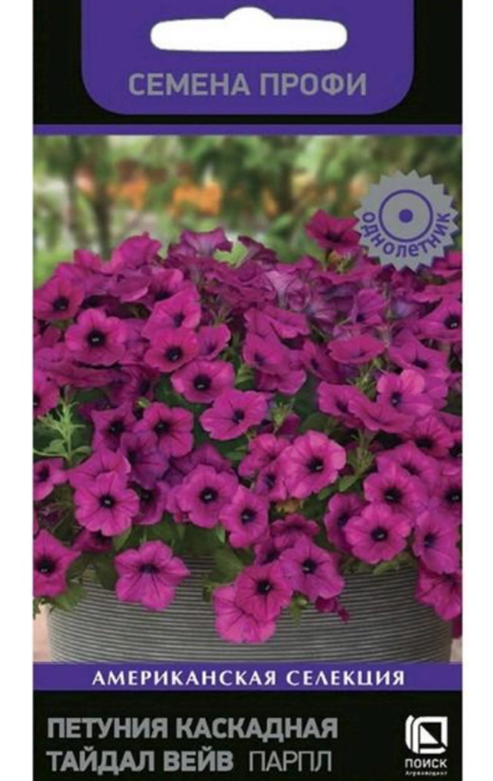 Петуния Тайдал Вейв Парпл 5 шт каскадная рядом