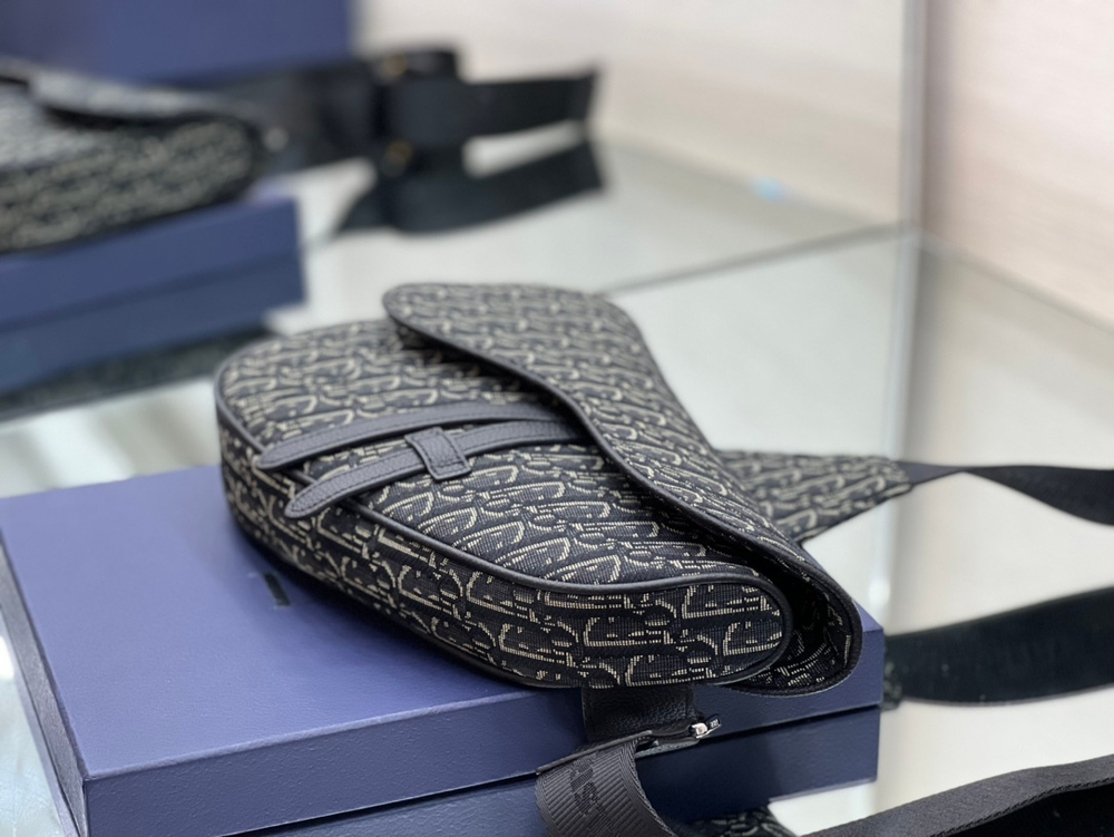 Christian Dior Saddle 26 cm