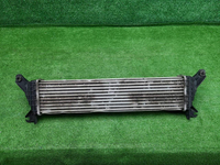 Интеркулер Tank 300 (2021-н.в.)