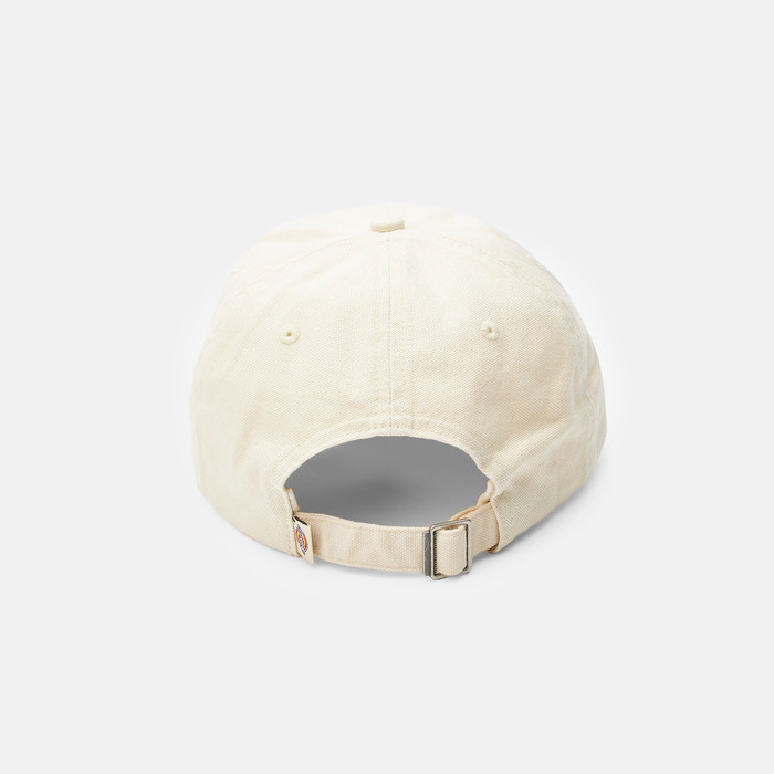 Кепка Dickies Duck Canvas Cap артикул:DK0A87NFL171 - купить в магазине Дайс