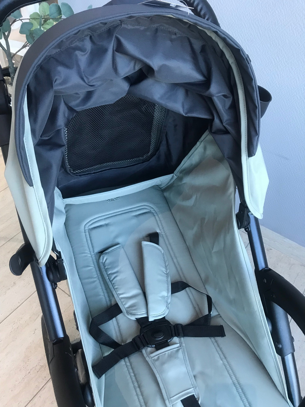 Коляска детская RANT basic "ALPINE" RA450 Green 2024